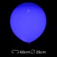 Globos Led Luminosos 25 cm