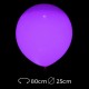 Globos Led Luminosos 25 cm